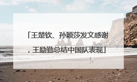 王楚钦、孙颖莎发文感谢，王励勤总结中国队表现